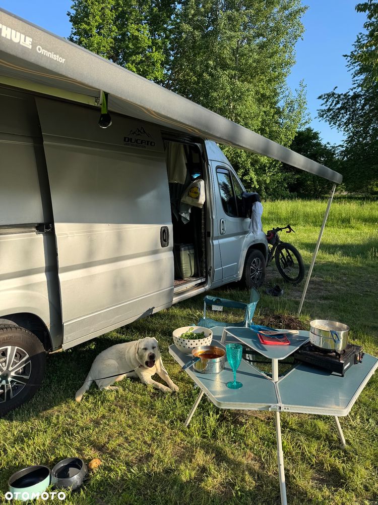 Fiat Ducato - 4