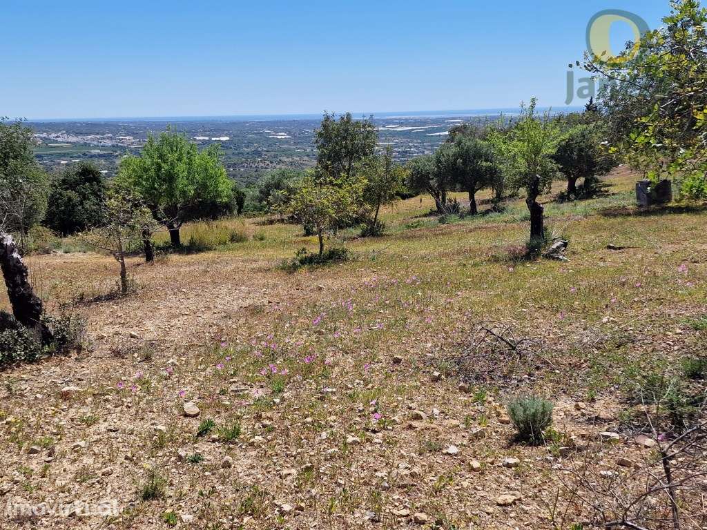 Fabuloso terreno de 7895 m2, PROJETO APROVADO para moradia, com VIs... - Grande imagem: 4/38