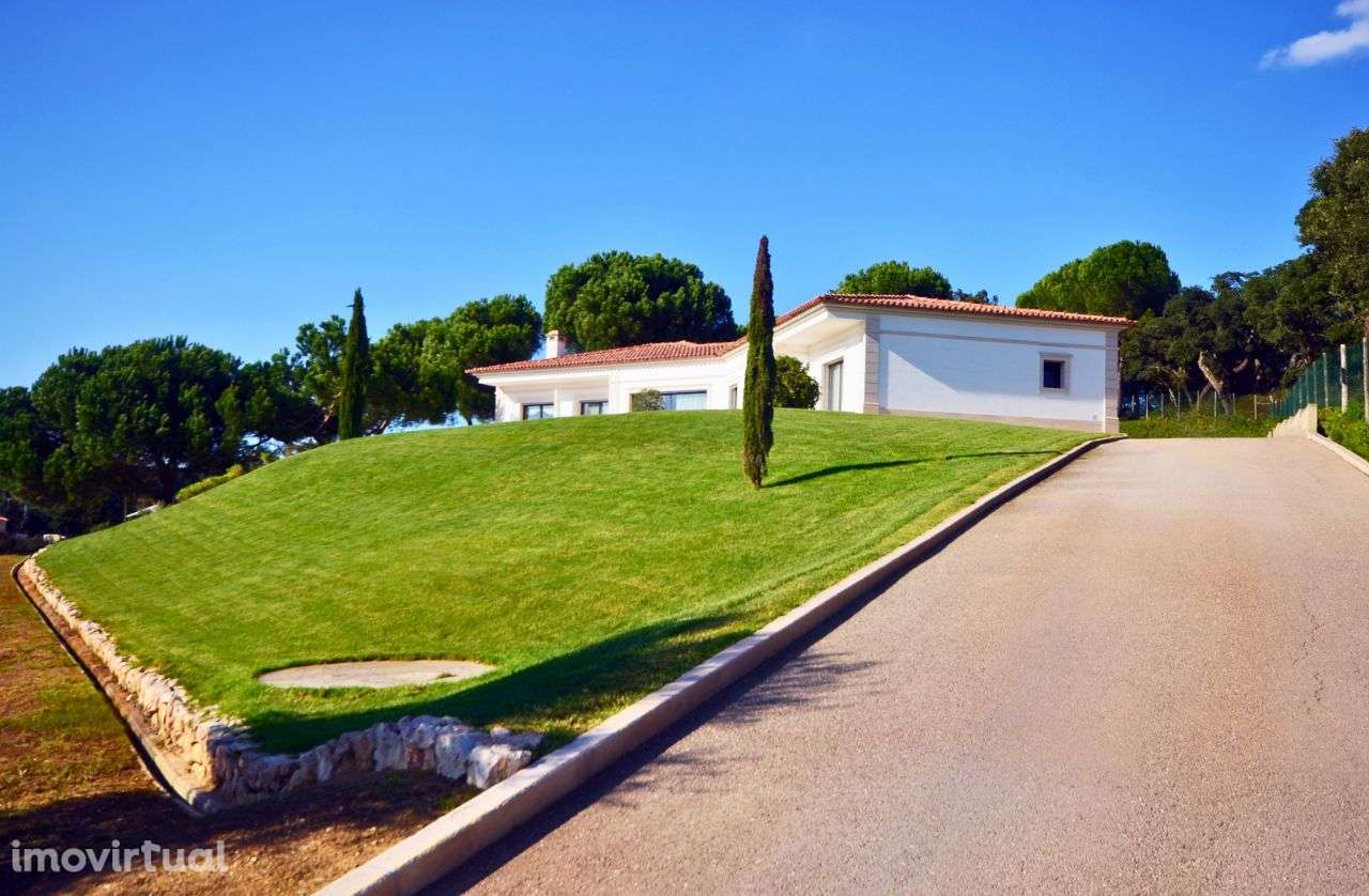 Moradia T3 em Santarém com 7360m² de Terreno - Grande imagem: 3/19