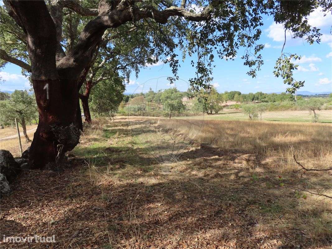 Quinta  para venda - Grande imagem: 2/21