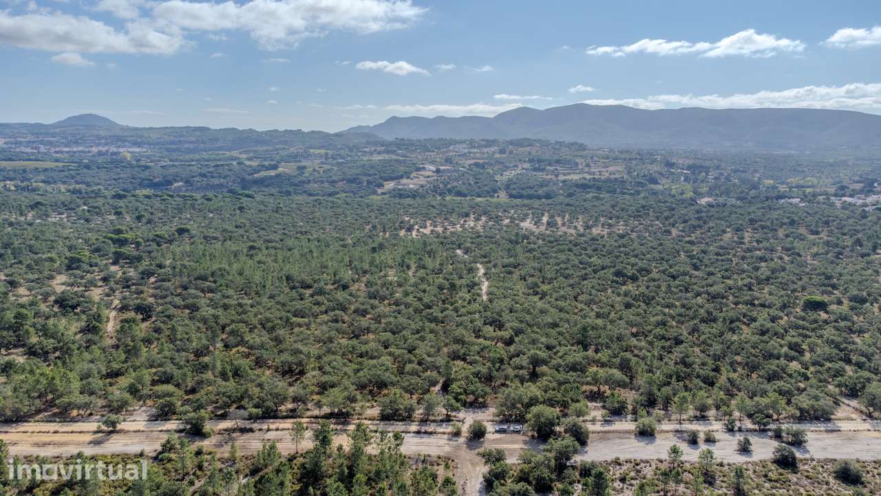 Terreno Rústico de 339.000 m² na Arrábida, junto à Quinta do Peru, com - Grande imagem: 4/10