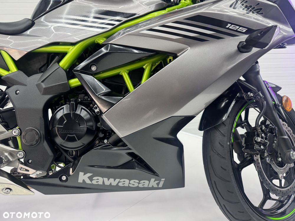 Kawasaki Ninja - 24