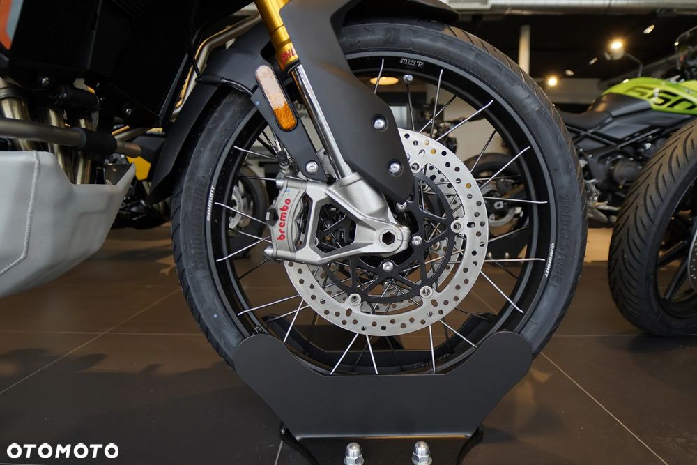 Triumph Tiger - 10