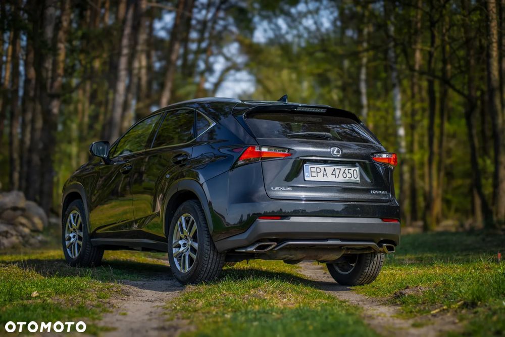 Lexus NX 300 Elegance 2WD - 14