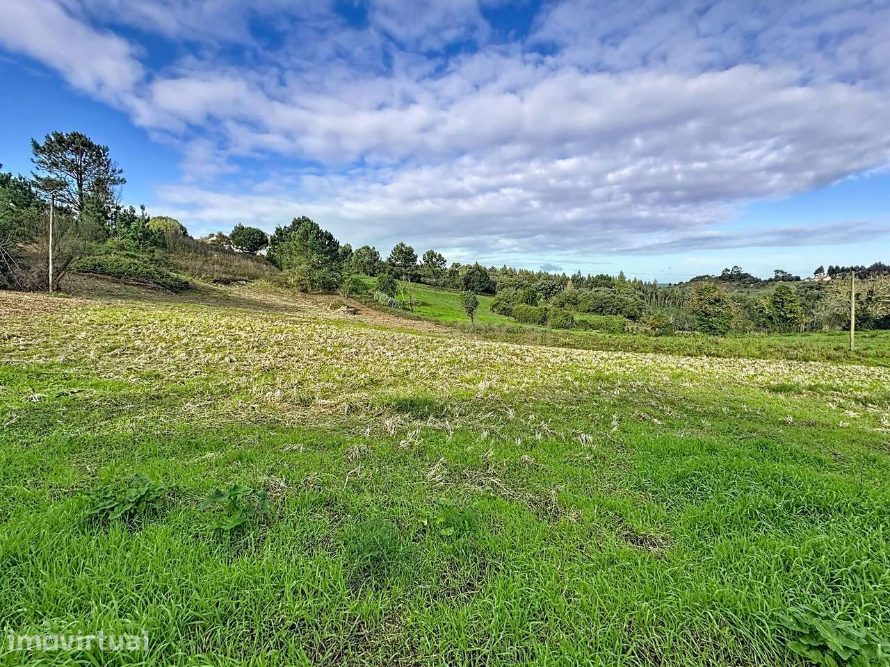 Terreno em Bemposta, Alcobaça – Oportunidade Única! - Grande imagem: 3/7