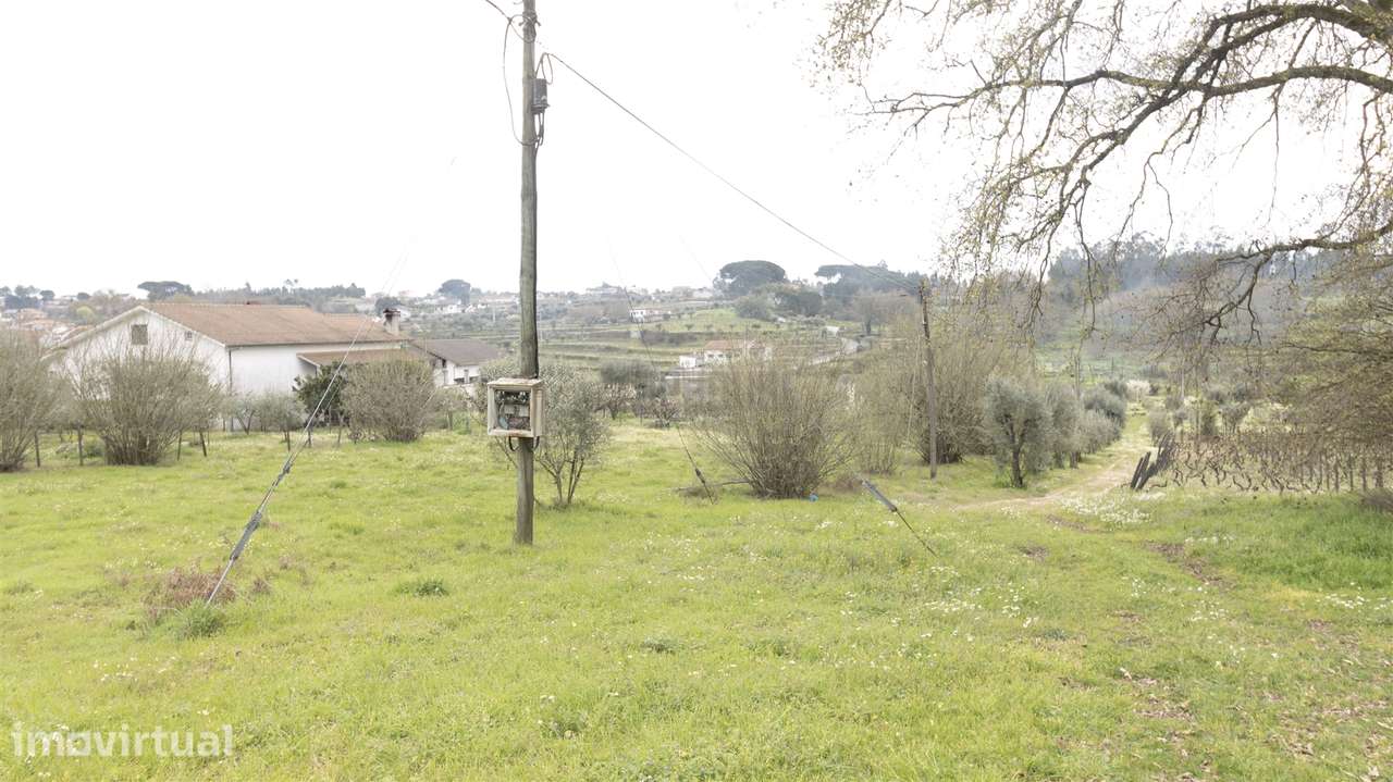 Terreno para Construção - Silgueiros - Grande imagem: 5/10