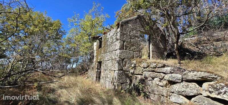 Quinta com Ruínas e Água de Mina – Projeto Off-Grid Total - Grande imagem: 3/9
