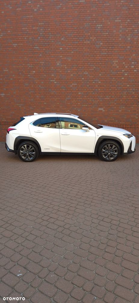 Lexus UX - 6