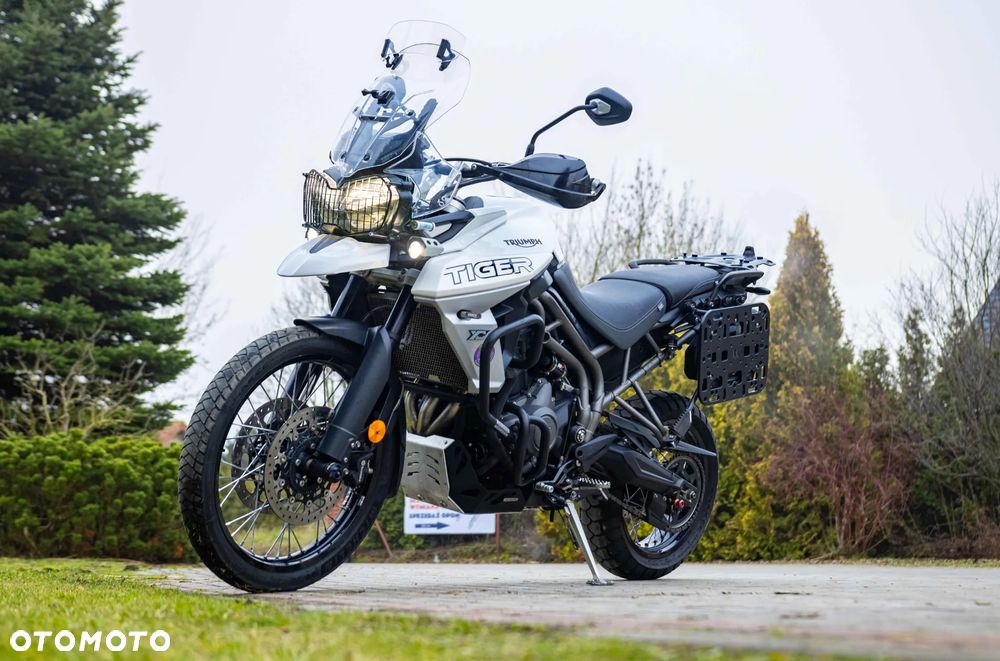 Triumph Tiger - 1