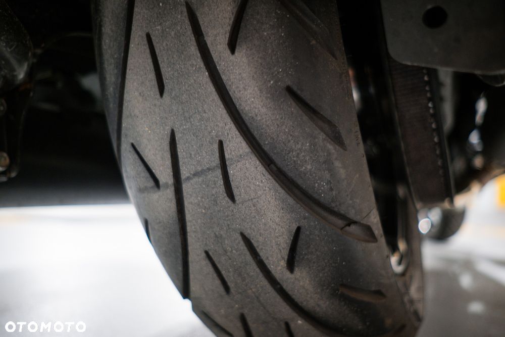 Indian Springfield - 30