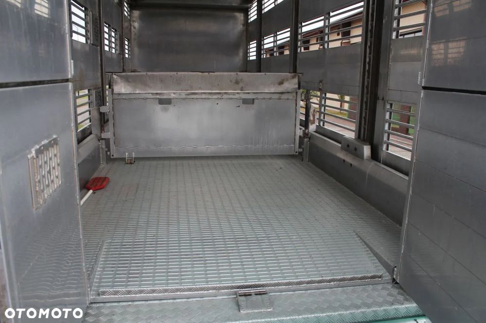 MAN TGS 26.440 DO ŻYWCA ZWIERZĄT BYDŁA Z NIEMIEC - 16