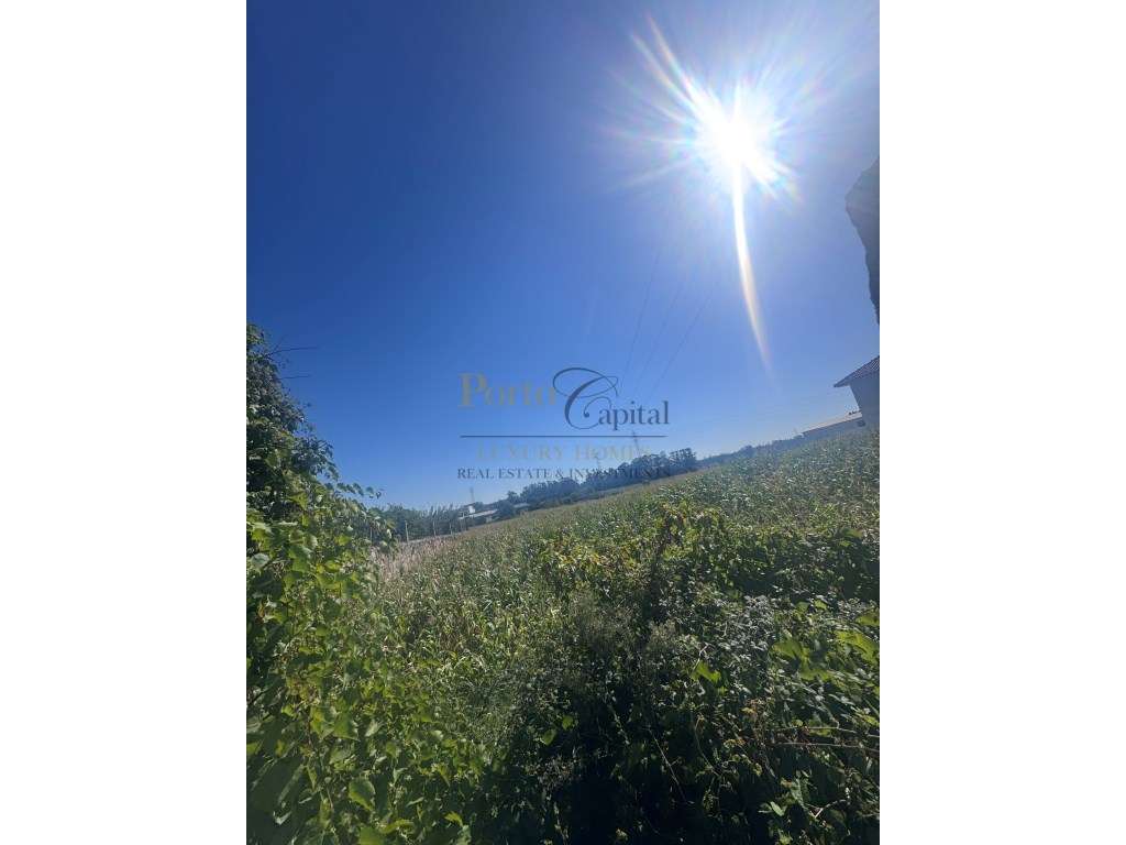Terreno com 7.017 m² Com Potencial Construtivo - Guilhabreu, Vila d... - Grande imagem: 5/30