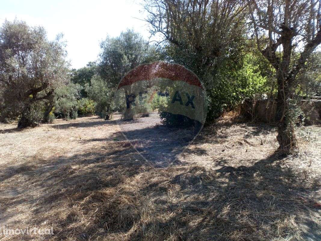 Terreno  para venda - Grande imagem: 4/5