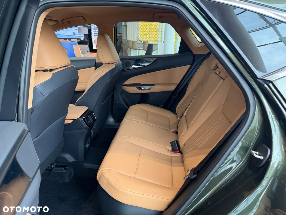 Lexus NX - 6