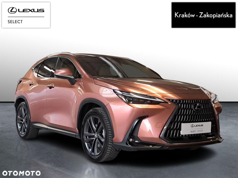 Lexus NX - 8