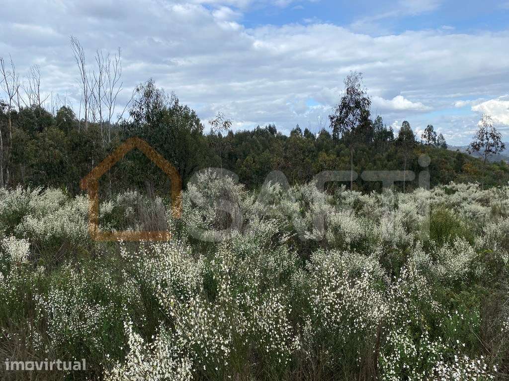Terreno junto a EM 624 Tondela 1180m2 Vende-se 20 000€ - Grande imagem: 3/4