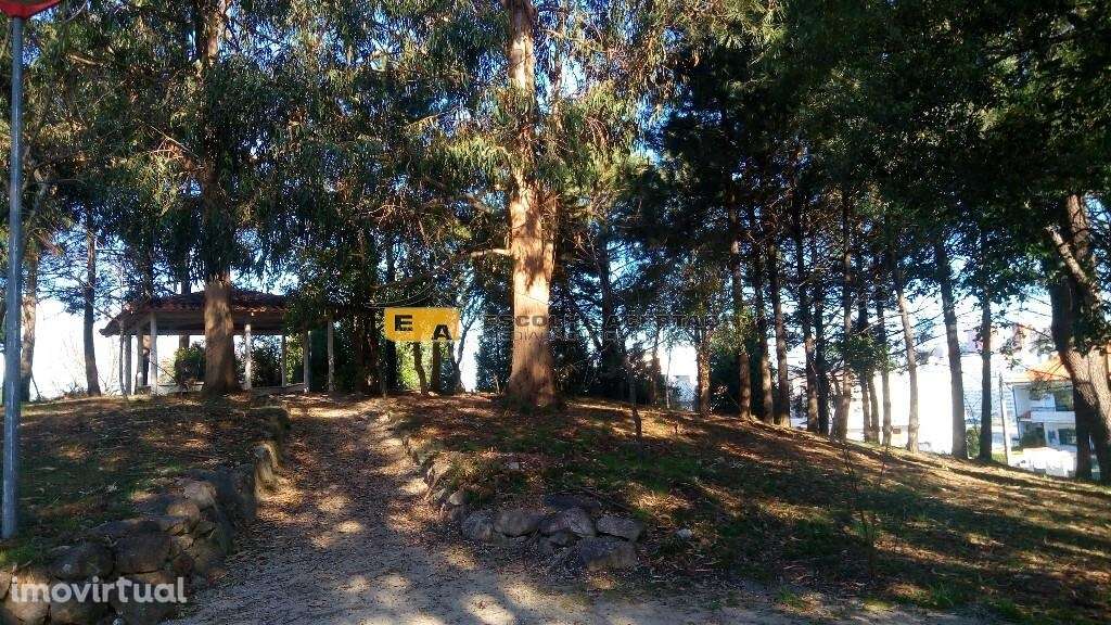 Terreno Pedroso Gaia - Grande imagem: 3/10