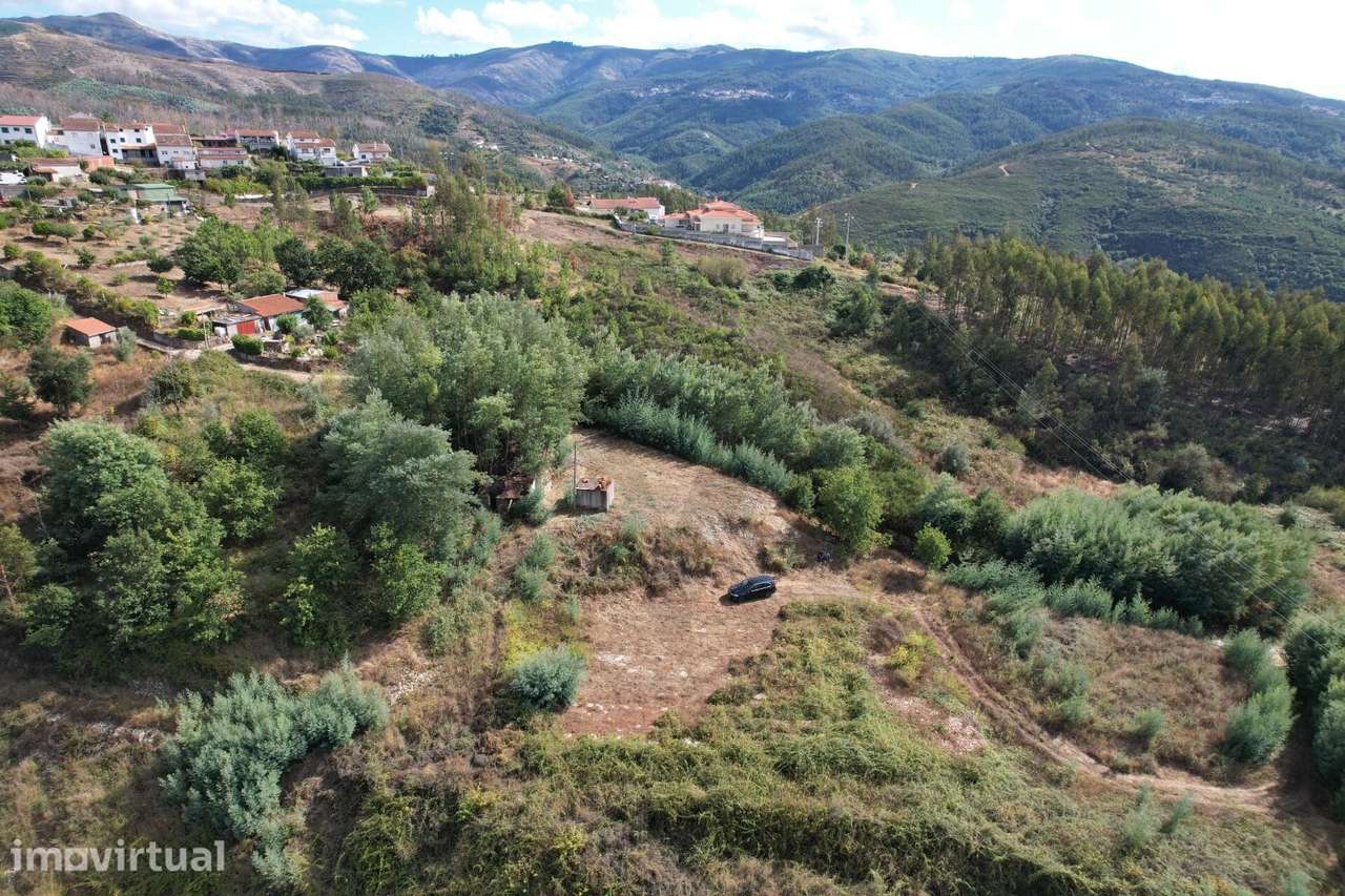 Terreno de 7,800m2 no sopé da Serra do Açor | Vista Panorâmica | Porte - Grande imagem: 5/24