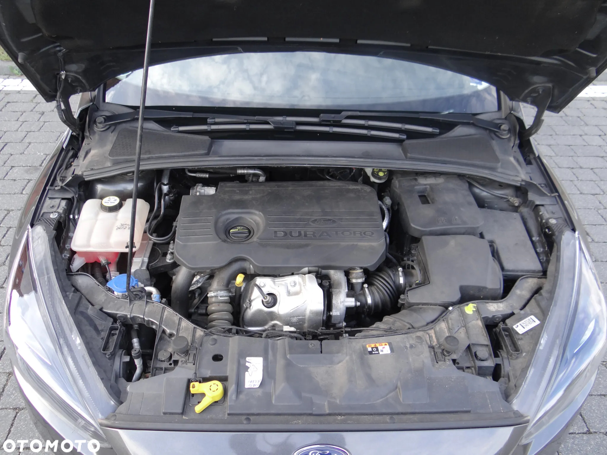 Ford Focus 1.5 TDCi Titanium ASS - 16
