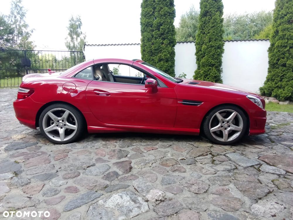 Mercedes-Benz SLK 250 (BlueEFFICIENCY) 7G-TRONIC - 8