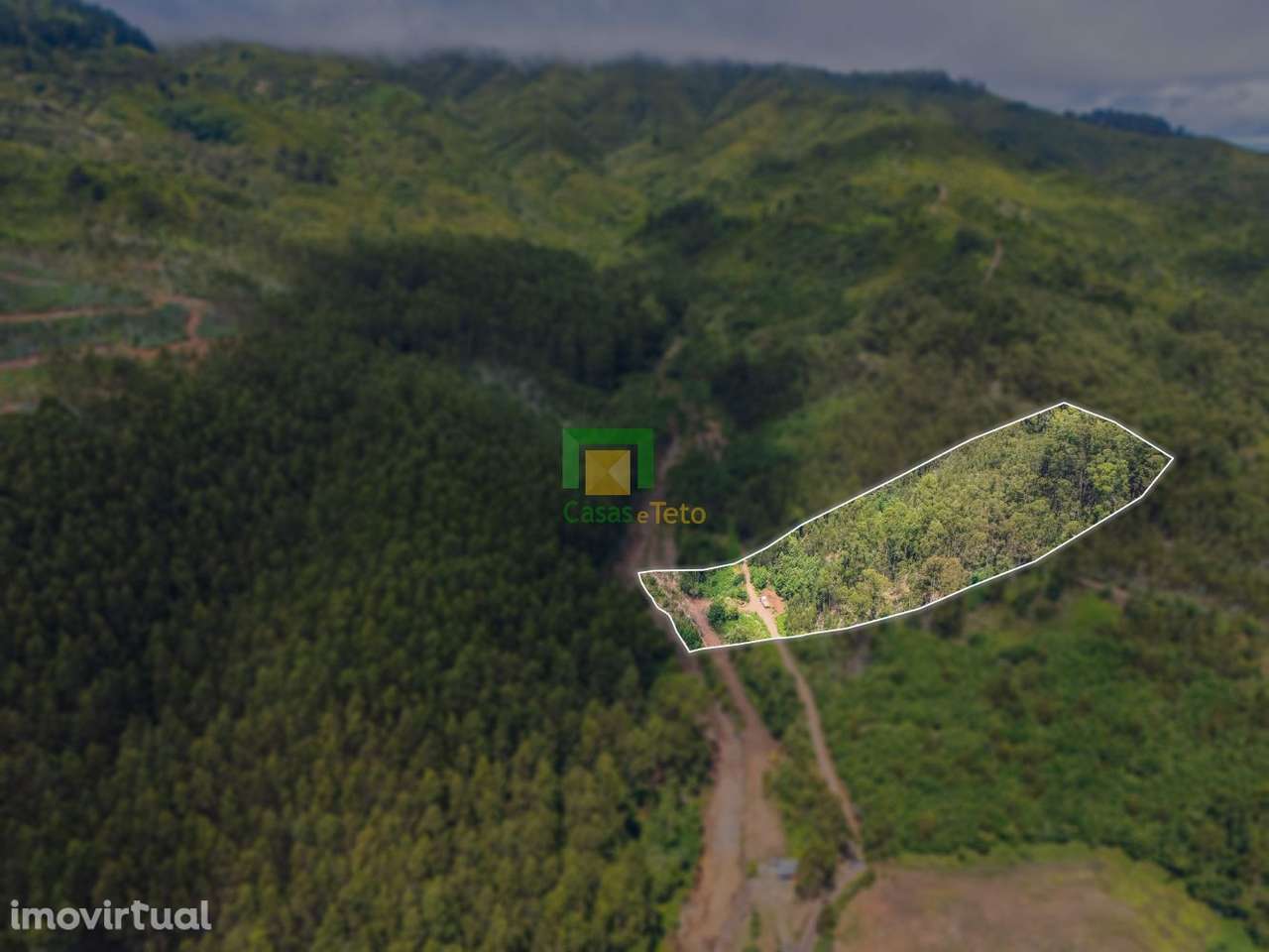 Terreno em Santo de Serra - Grande imagem: 3/14