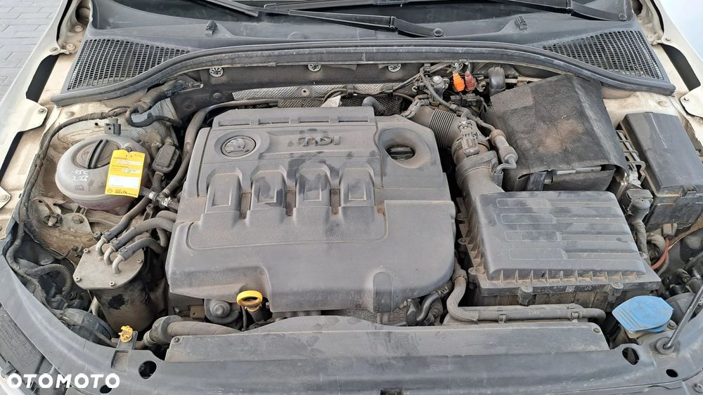 Skoda Octavia 1.6 TDI 4x4 Elegance - 31