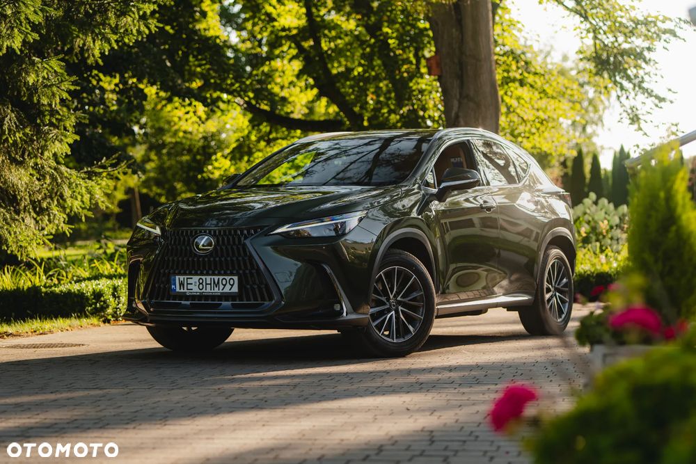 Lexus NX 450h+ Prestige AWD - 4