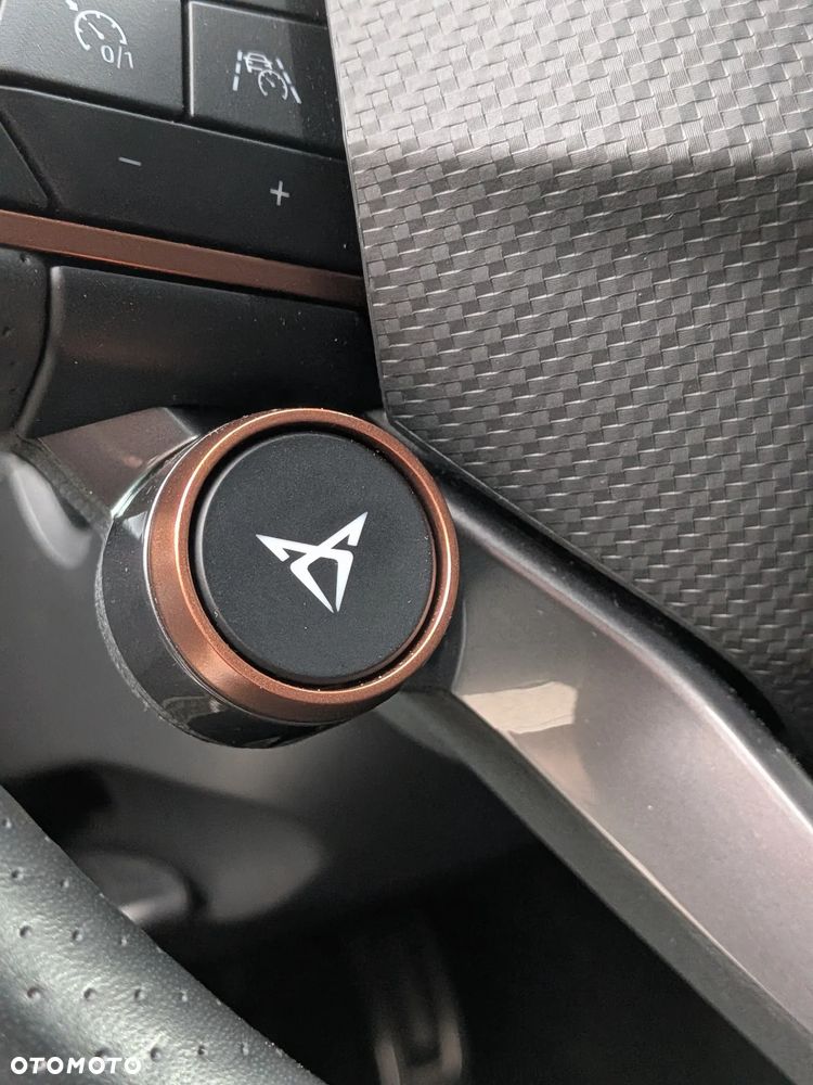 Cupra Formentor 2.0 TSI 4Drive VZ DSG - 15