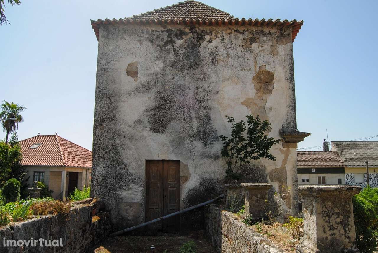 Quinta em Dornelas, Aguiar da Beira. - Grande imagem: 5/36