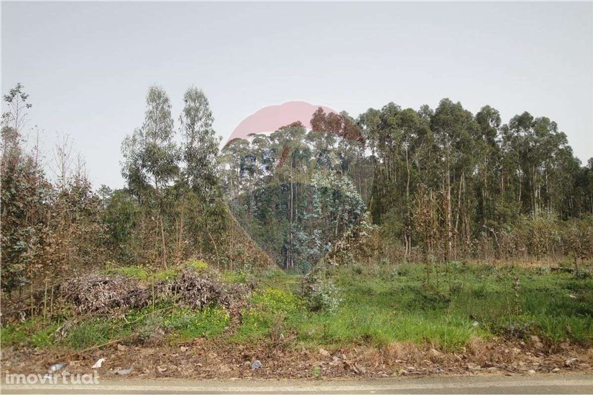 Terreno  para venda - Grande imagem: 2/3