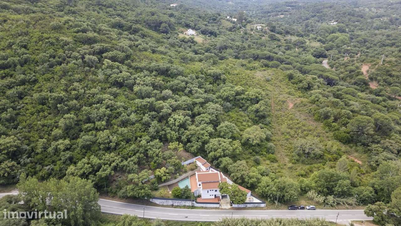 Moradia Isolada T4 com piscina, Azeitão, Setubal - Grande imagem: 4/49