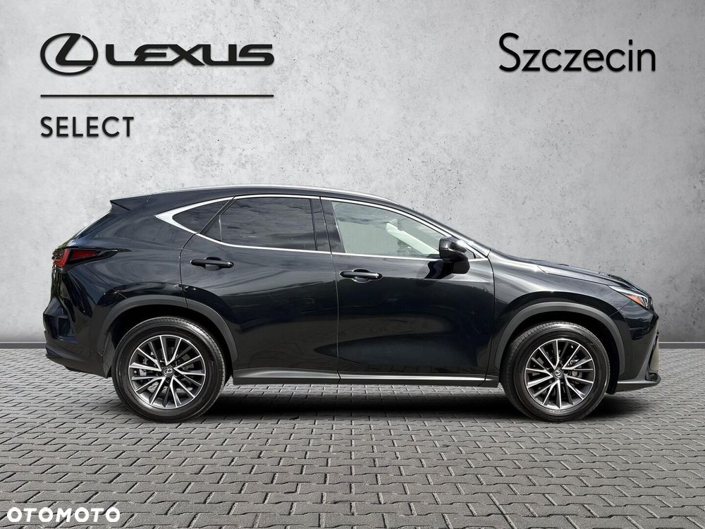 Lexus NX 350h Business AWD - 6