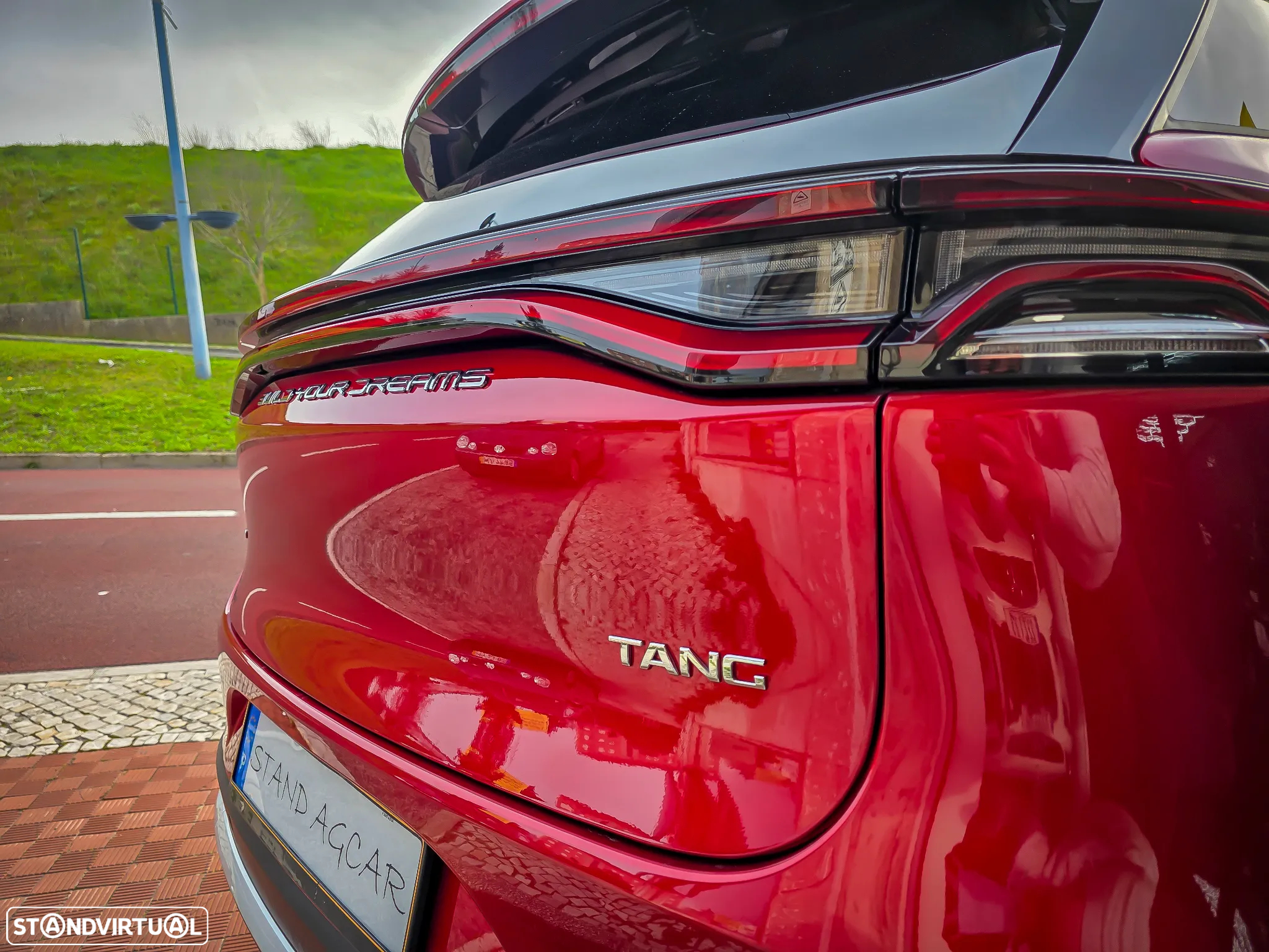 BYD Tang 86.4 kWh AWD Flagship - 11