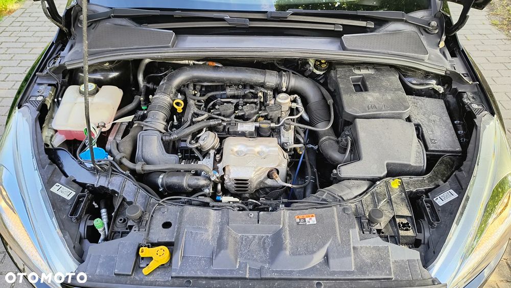 Ford Focus 1.0 EcoBoost Gold X (Trend) - 25
