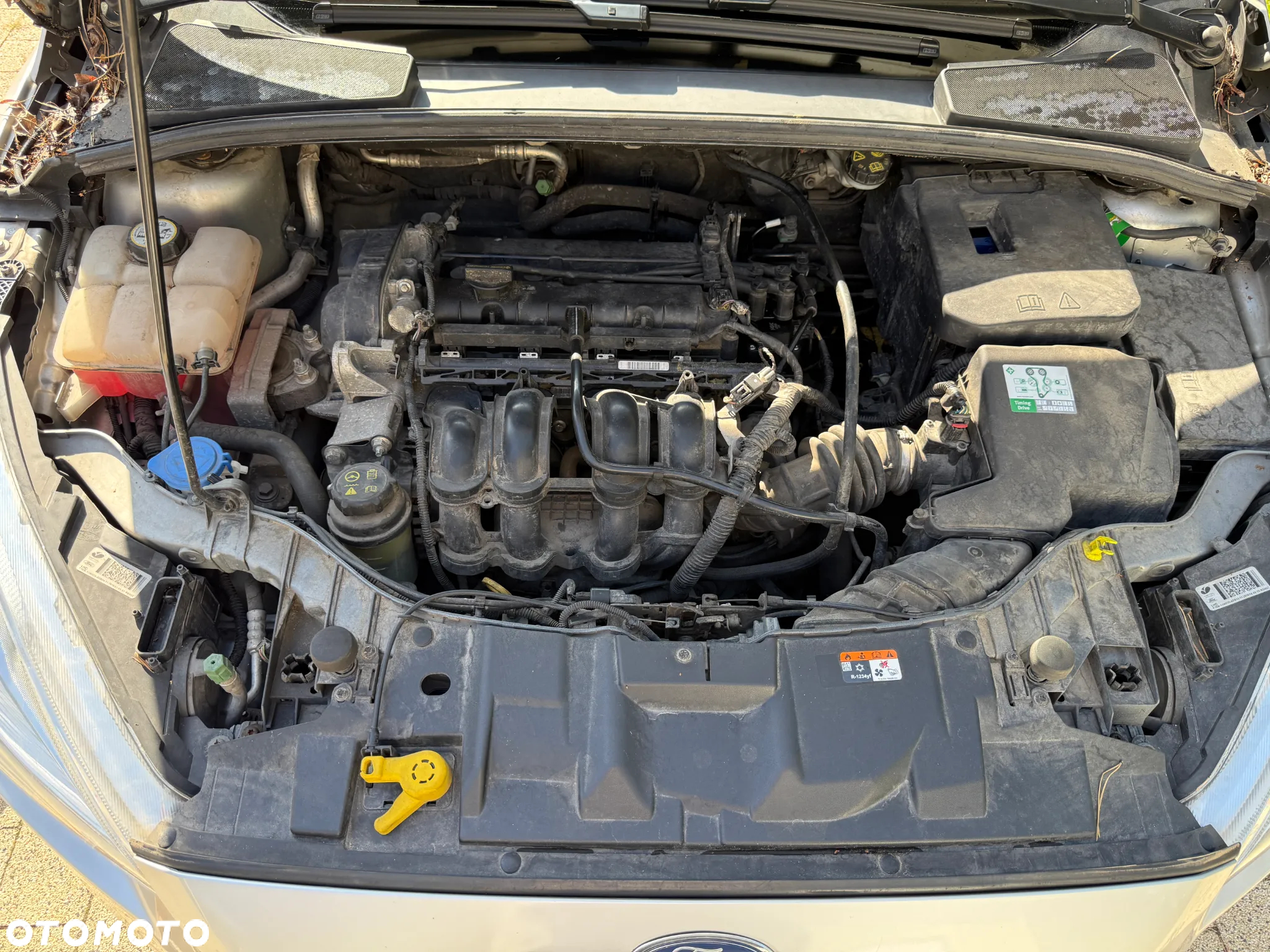 Ford Focus 1.6 Trend - 10