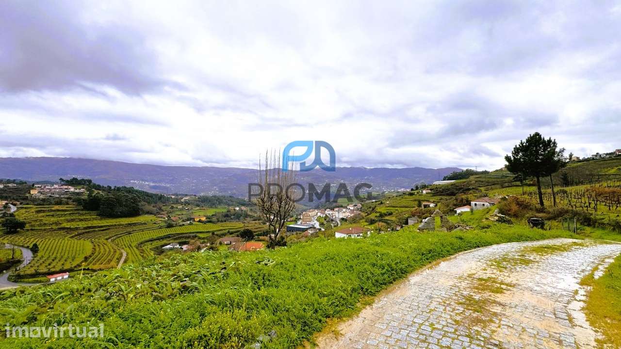 Quinta T4 no Coração do Douro – Santa Marinha do Zêzere, Baião - Grande imagem: 3/60