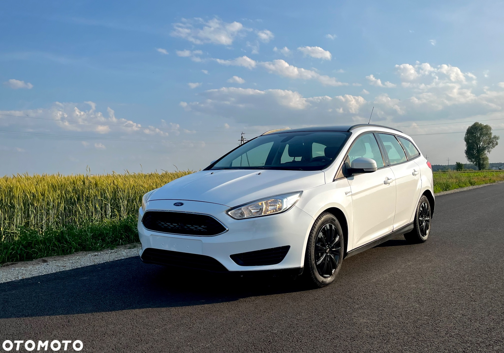 Ford Focus 1.6 TDCi DPF Start-Stopp-System SYNC Edition - 29