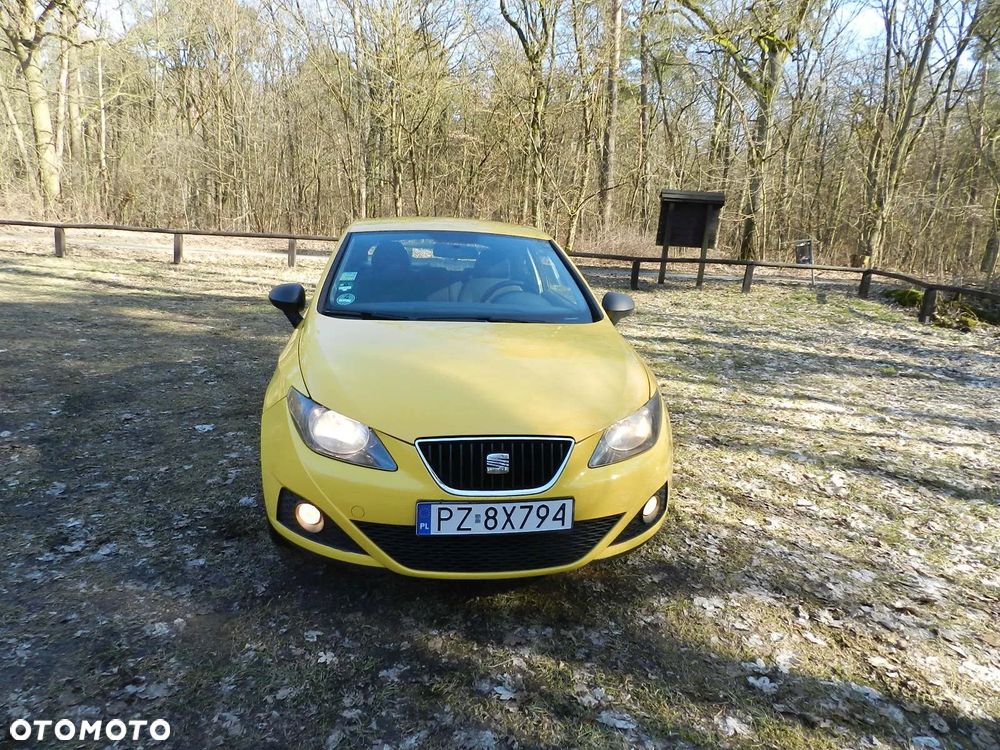 Seat Ibiza - 15