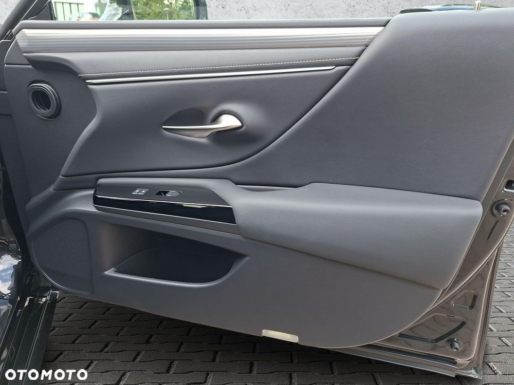Lexus ES 300h F Sport Edition - 20