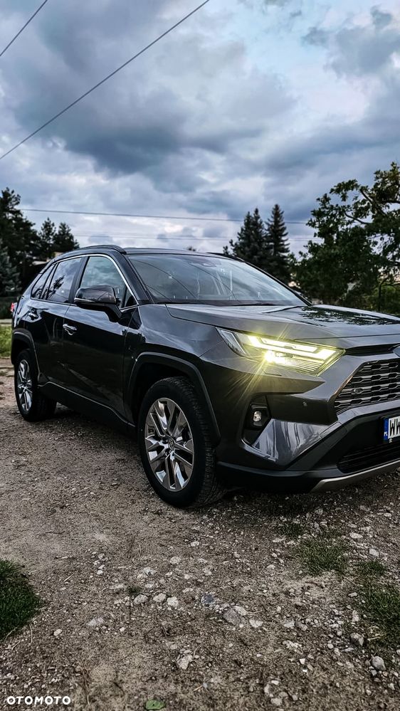 Toyota RAV4 2.5 Hybrid Executive 4x4 - 21