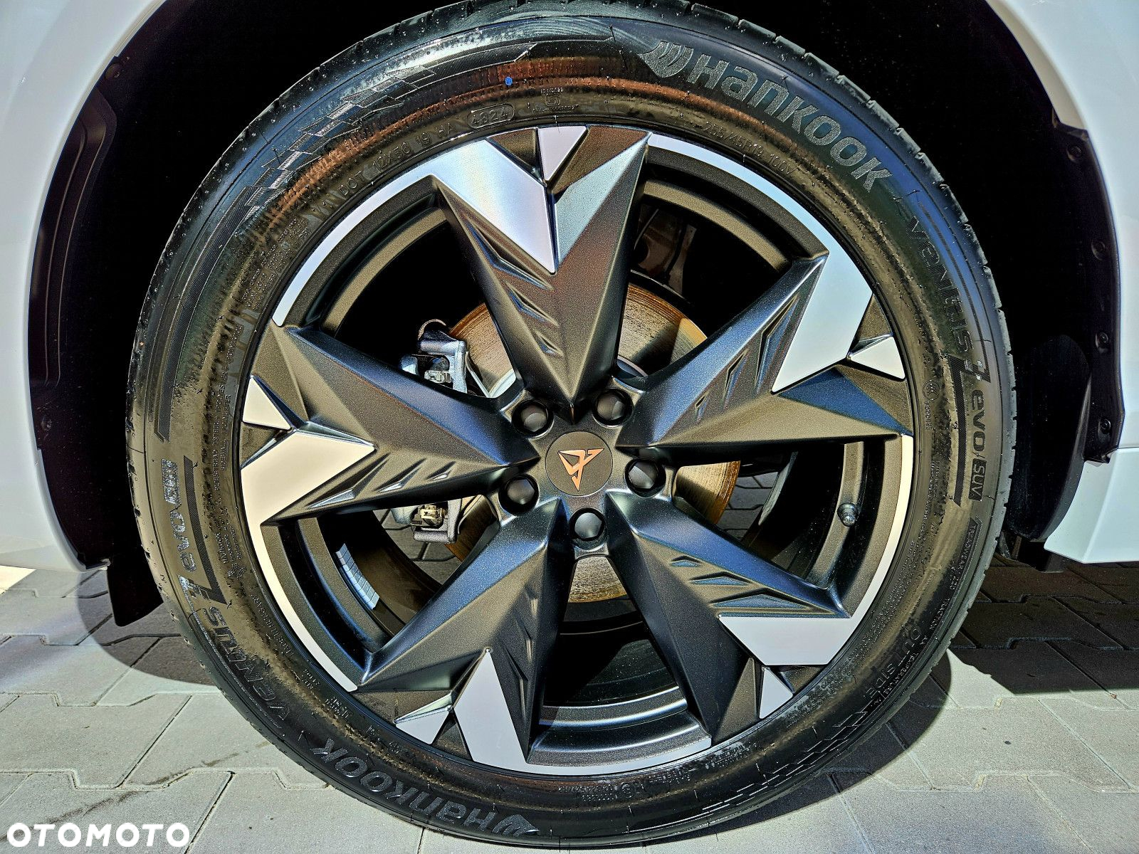 Cupra Terramar - 11