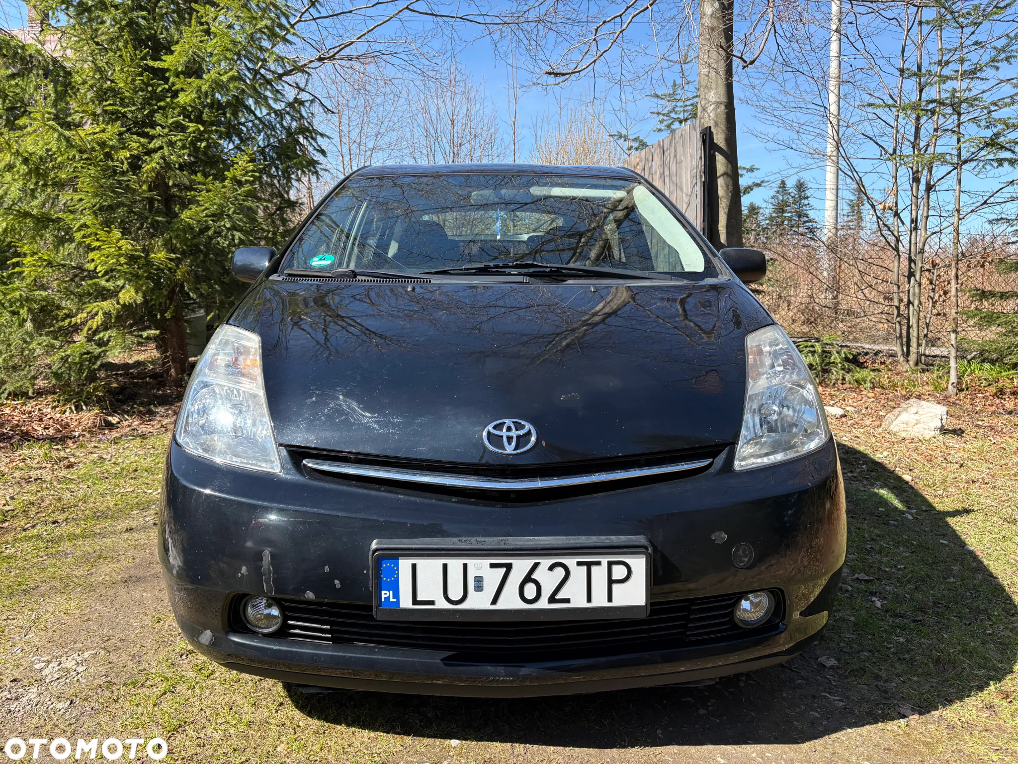 Toyota Prius (Hybrid) Executive - 8