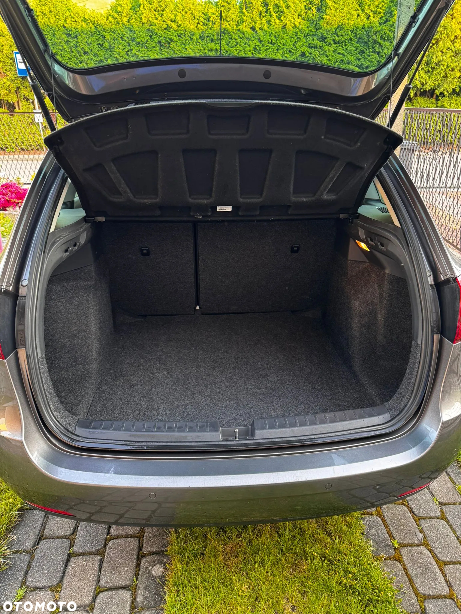 Seat Ibiza - 23