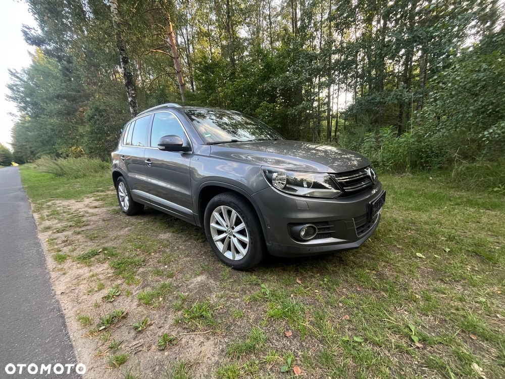 Volkswagen Tiguan - 15