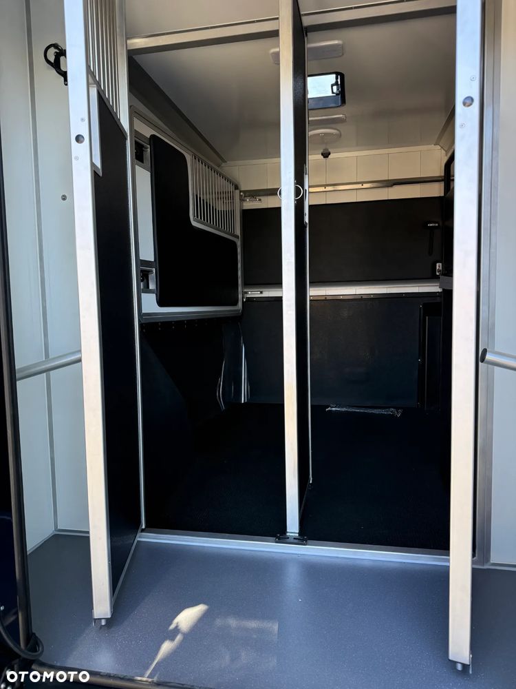 Renault MASTER IV 5-osobowy, Nowy koniowóz STX Automat, GWARANCJA - 17