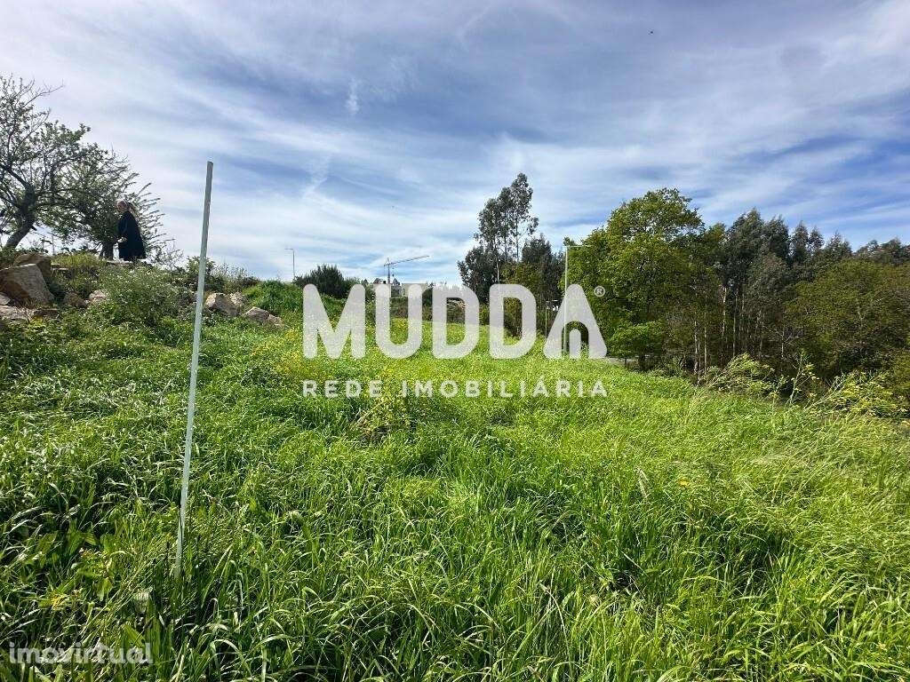Lote para construção, Cambra, Vouzela - Grande imagem: 3/4