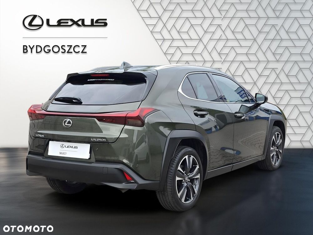 Lexus UX 250h GPF Business 2WD - 6