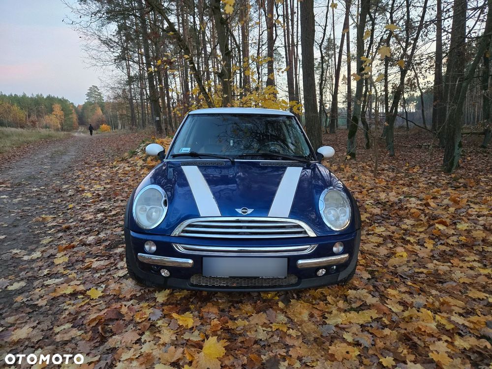 MINI Cooper chili - 4