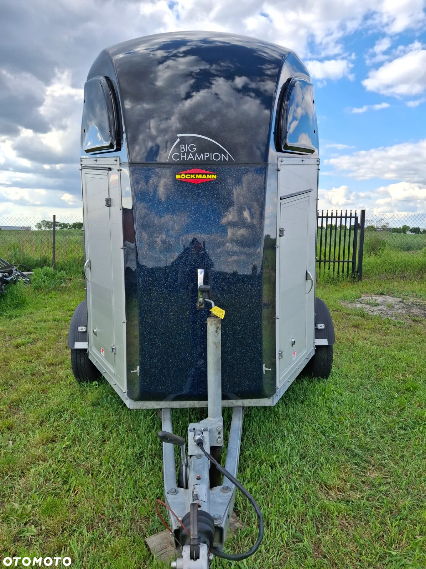 Böckmann PHA - 17