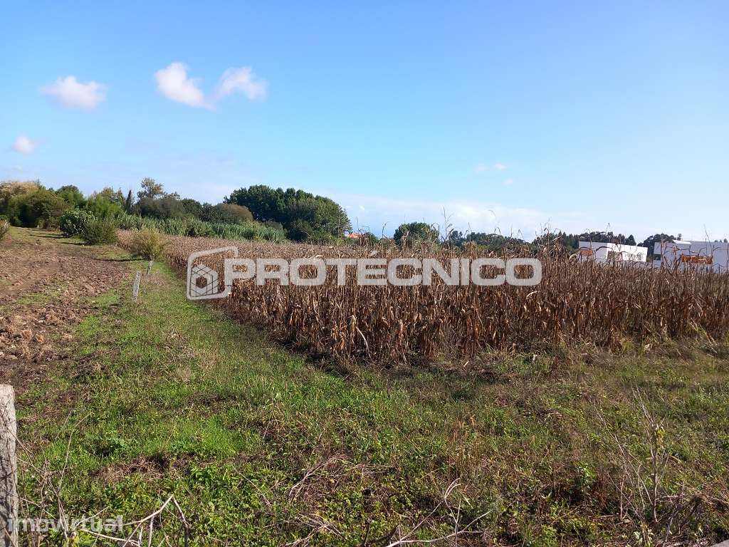 Terreno p/ construção – Oliveirinha - Grande imagem: 5/5